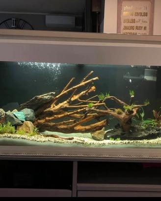 Acquario Ferplast 120