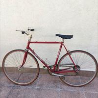 Bici Torpado Vintage
