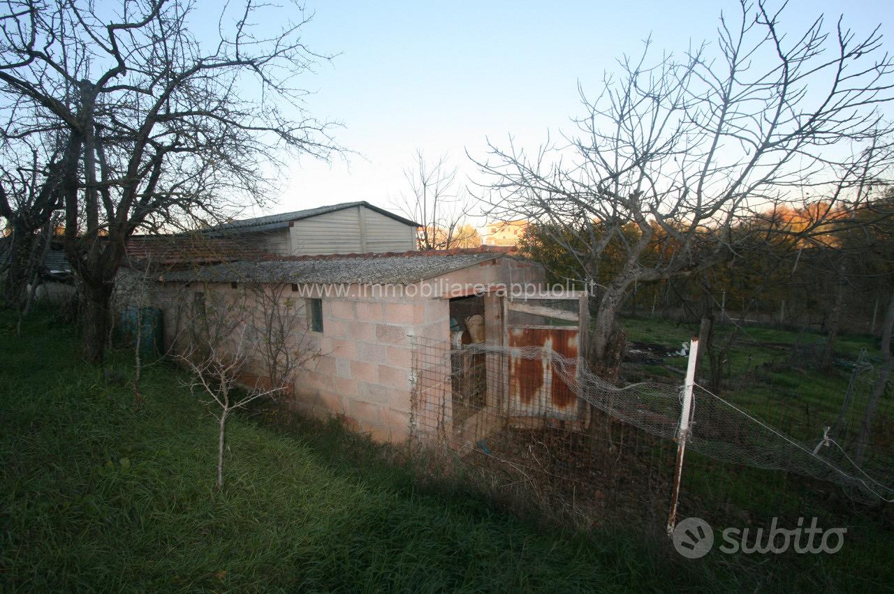 CA41 - Sinalunga capanno agricolo di mq 65 - Vista 4