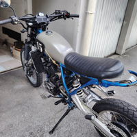 Scrambler Suzuki DR650