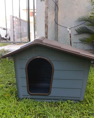 cuccia gatto