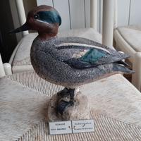 Alzavola in scultura di argilla e dimens. naturali