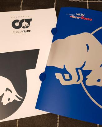 Raccoglitori A4  Alphatauri e Toro Rosso f1
