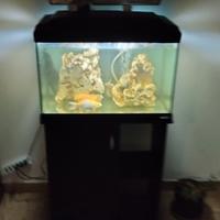 62 x 32 x h45 Ferplast Cayman 