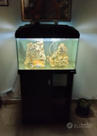 62 x 32 x h45 Ferplast Cayman 