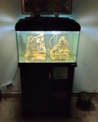 62 x 32 x h45 Ferplast Cayman 