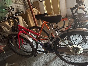 Bicicletta