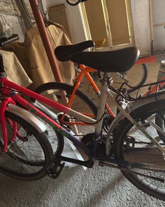 Bicicletta