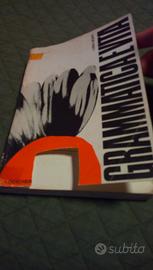 Grammatica e vita di Luisa Monti