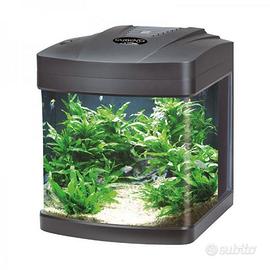 ACQUARIO PANORAMICO – BLU BIOS CUBINO