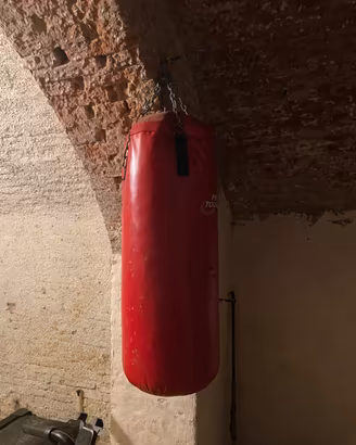 Sacco da boxe rosso marca Pro Touch