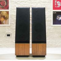 !!SALE!! - Thiel – Diffusori da Pavimento – CS 1