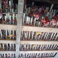 Abbeveratoio a goccia per polli