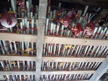 Abbeveratoio a goccia per polli