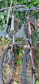 biciclette 