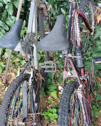 biciclette 