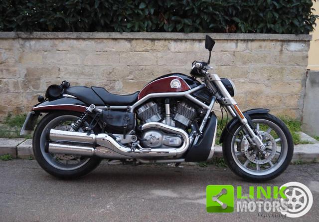 Subito - Link Motors Bari Ovest - HARLEY-DAVIDSON 1130 V-ROD - VRSCR ...