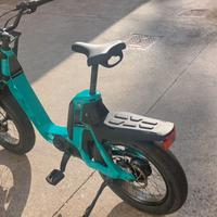 Bicicletta a pedalata assistita