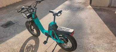 Bicicletta a pedalata assistita