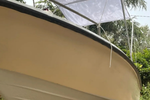 BARCA DELFINO OPEN Con Envirude 737