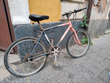 Bici BMX perfettamente funzionante