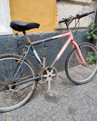 Bici BMX perfettamente funzionante