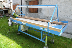 Nastro trasportatore cernita patate frutta ortaggi