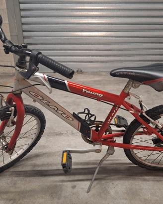 MTB bambino Olmo