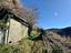 Immagine 19