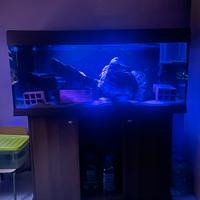 Acquario ferplast Dubai 120 + mobile