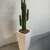 pianta di cactus finta con vaso bianco 
