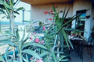 Appartamento S.Caterina