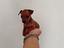 Immagine 3