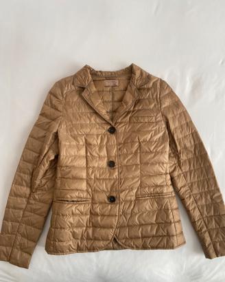 100 grammi Falconeri