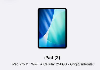 Ipad pro 11” (2a gen)