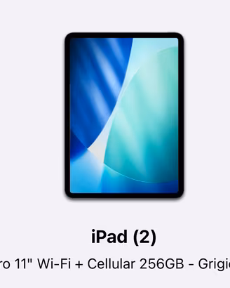 Ipad pro 11” (2a gen)