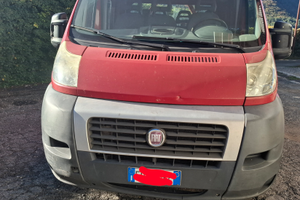 Autocarro Fiat Ducato