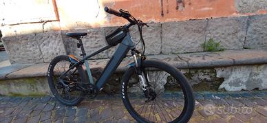 bicicletta elettrica a pedalata assistita 