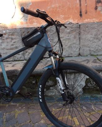 bicicletta elettrica a pedalata assistita 