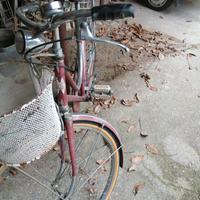 bici donna