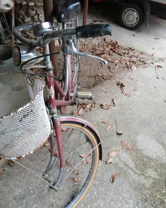 bici donna