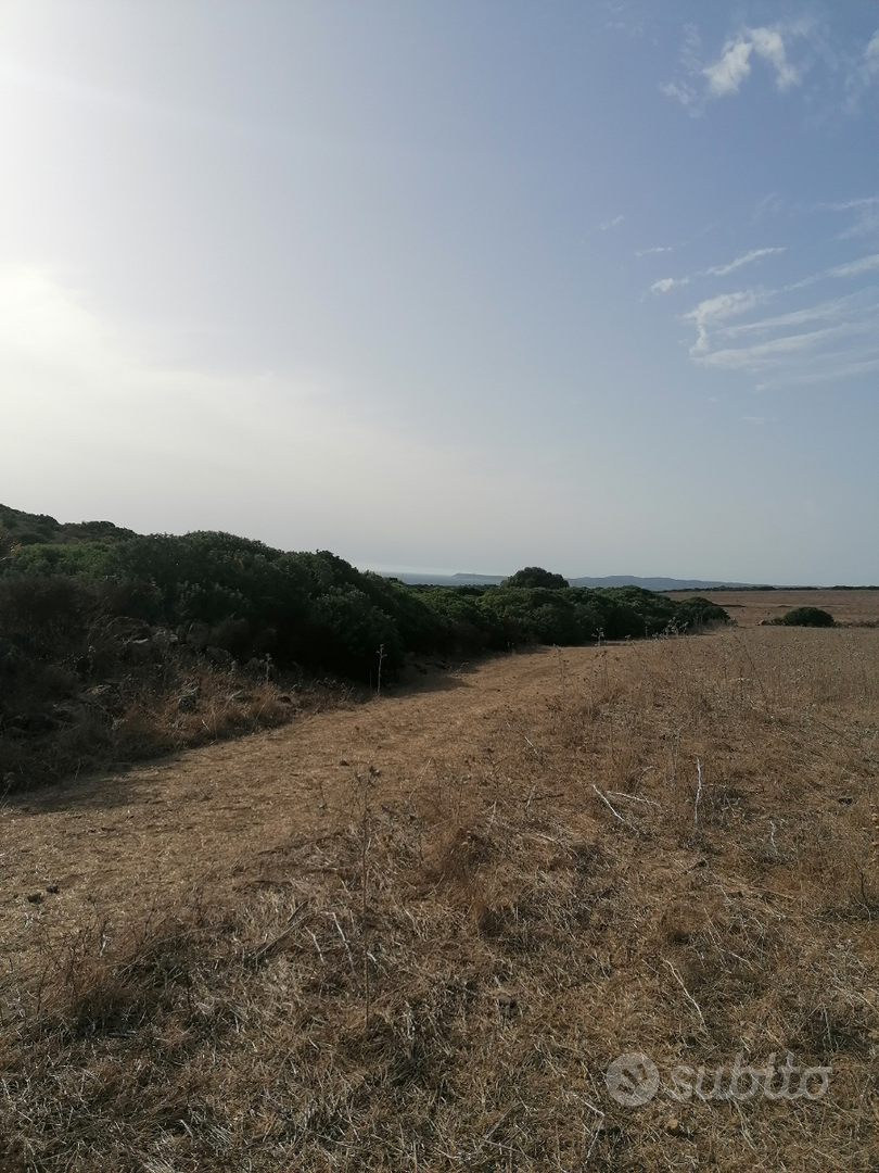 Vendita terreno agricolo Calasetta - Vista 2