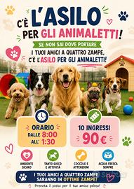 Asilo per animaletti