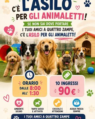 Asilo per animaletti