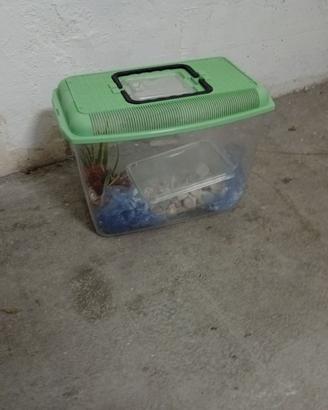 Acquario per i pesci e tartarughe