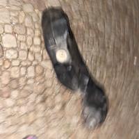 Serbatoio rinner 180/125/50