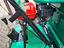 Immagine 6