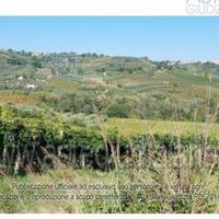 Terreno Agricolo Lanciano [A4344519]