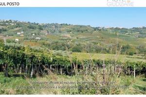 Terreno Agricolo Lanciano [A4344519]