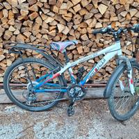 bicicletta mtb eclipse custom 2.4